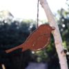 Rusty Robin for the garden
