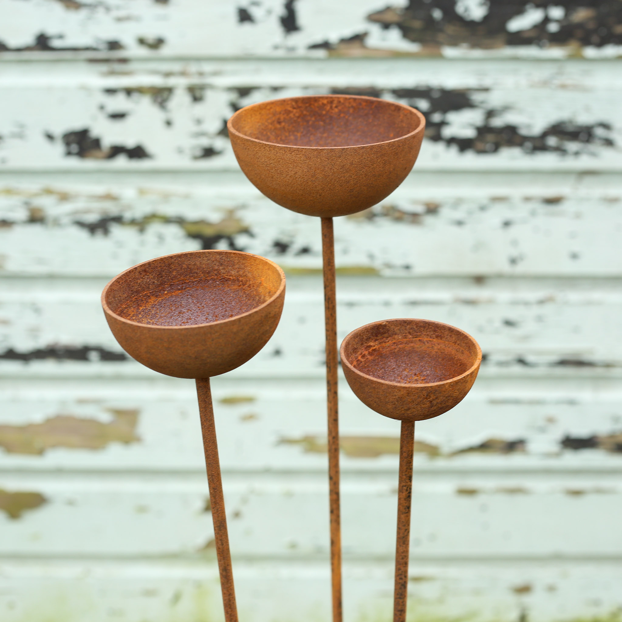 Rusty Rain Catchers - Image 8