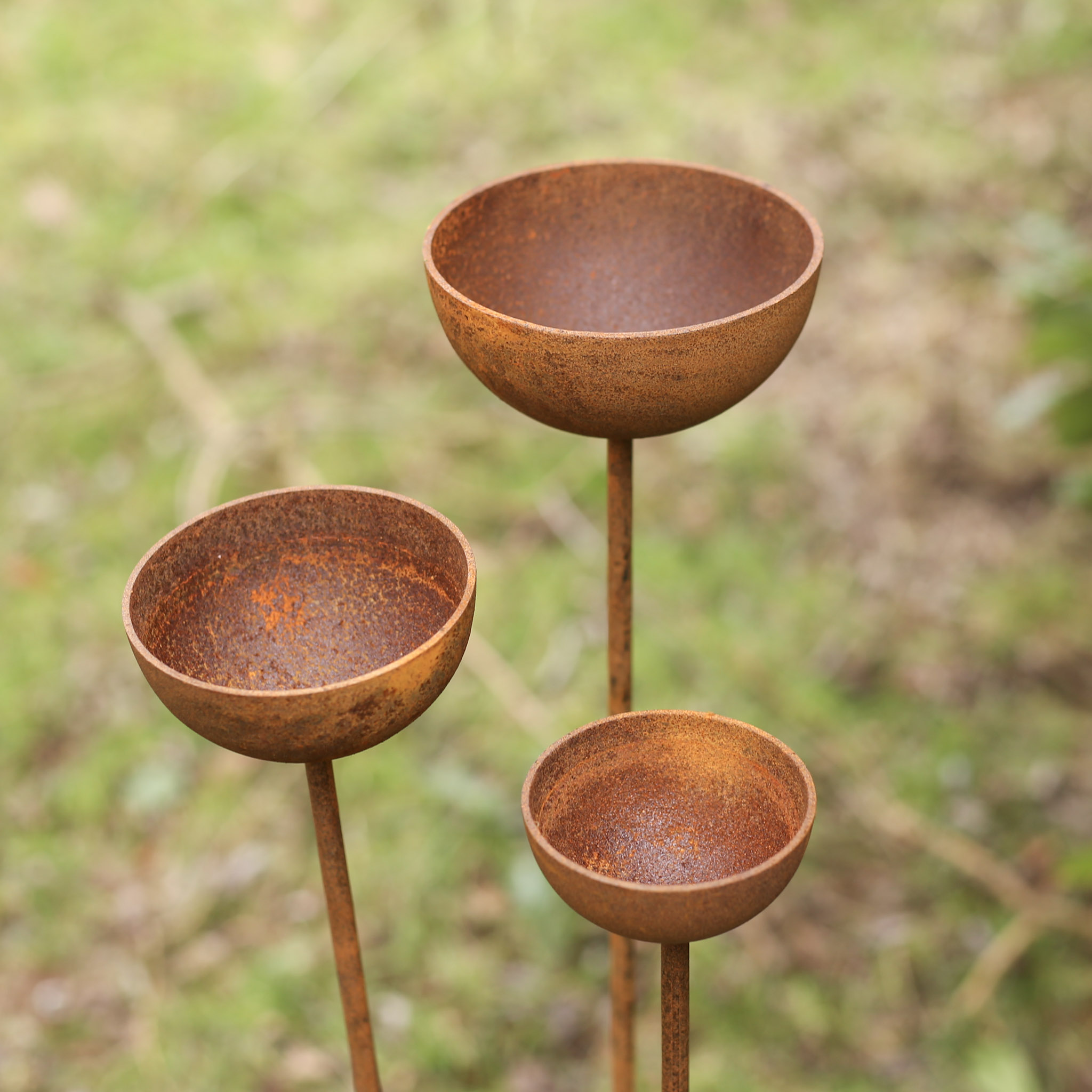 Rusty Rain Catchers - Image 7