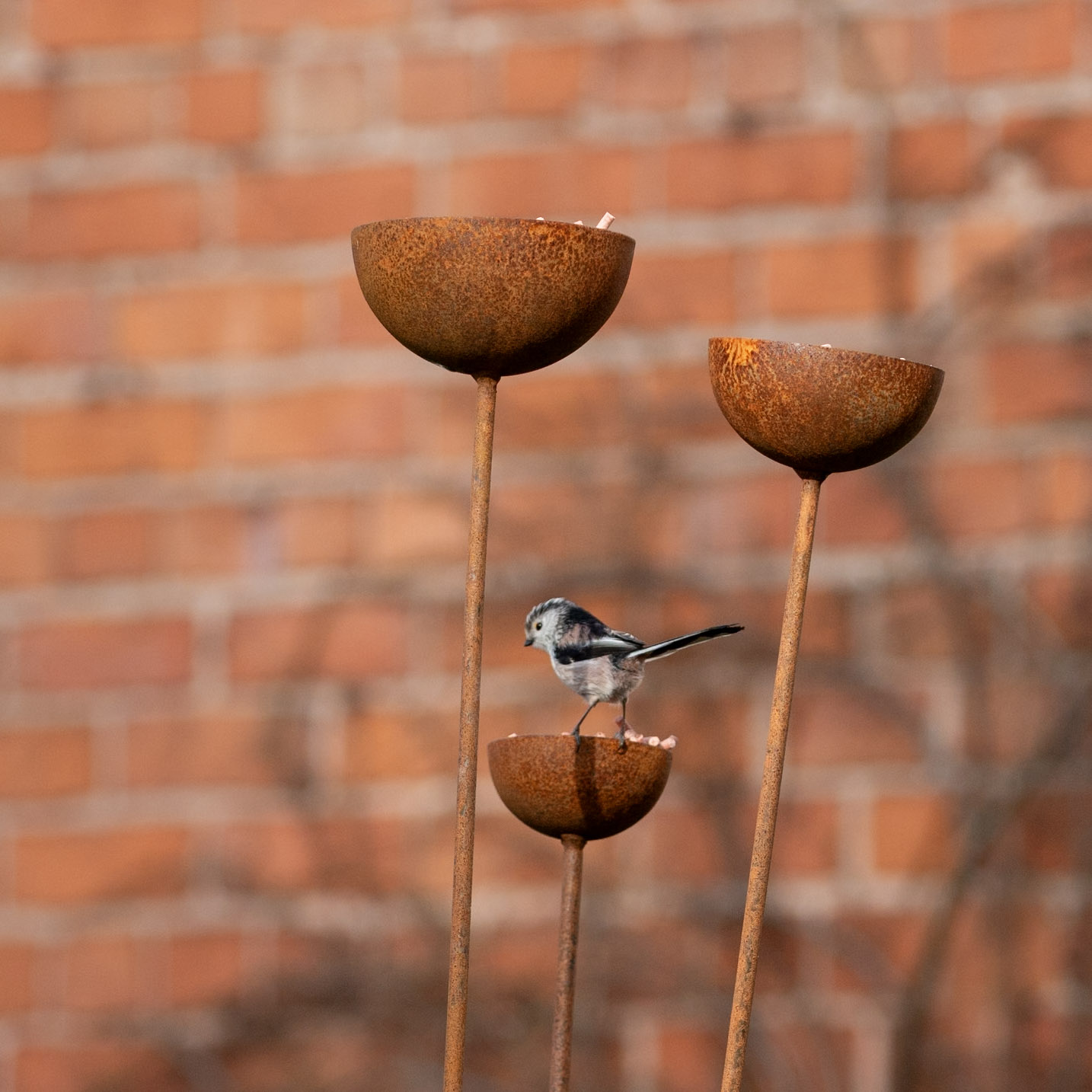 Rusty Rain Catchers - Image 6
