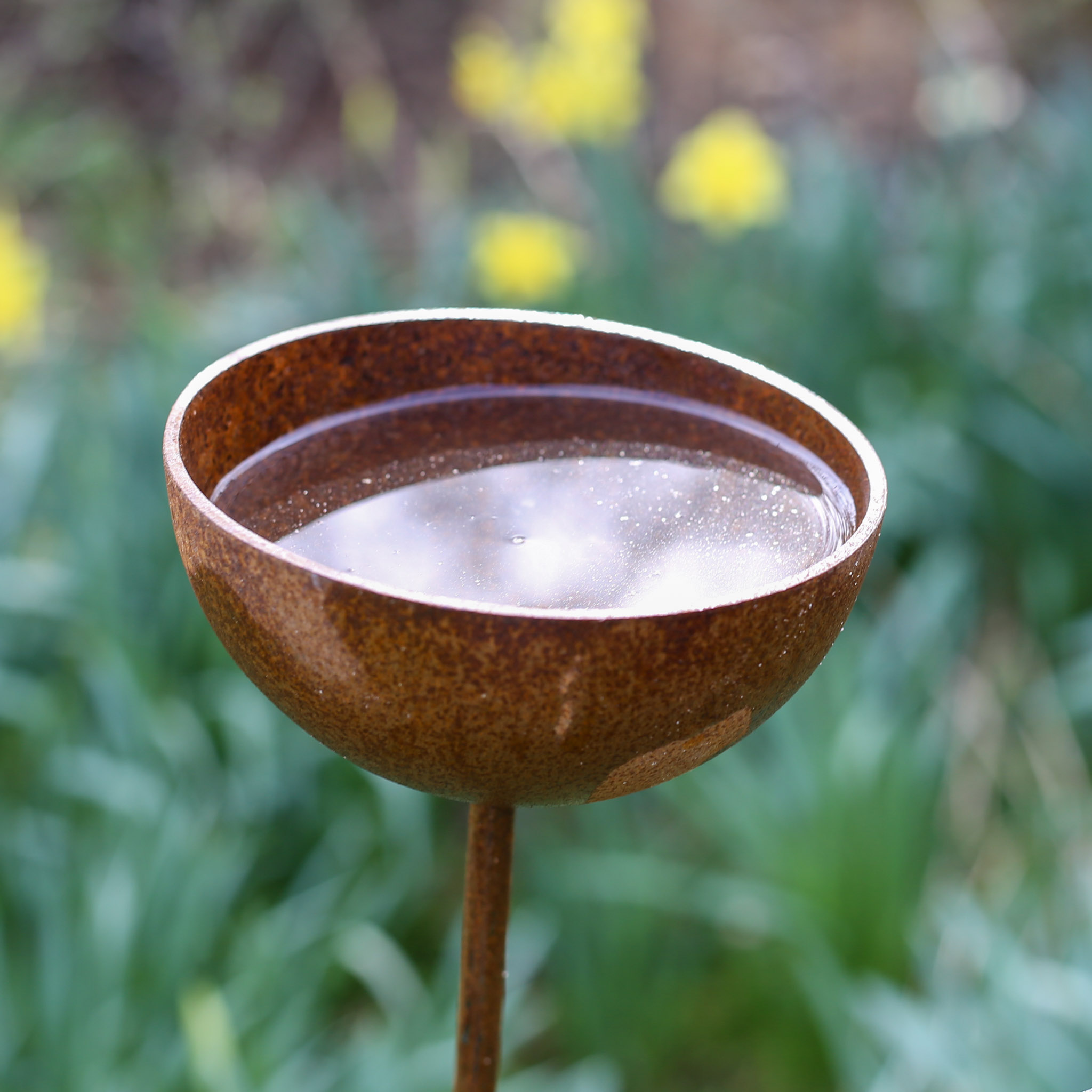 Rusty Rain Catchers - Image 3