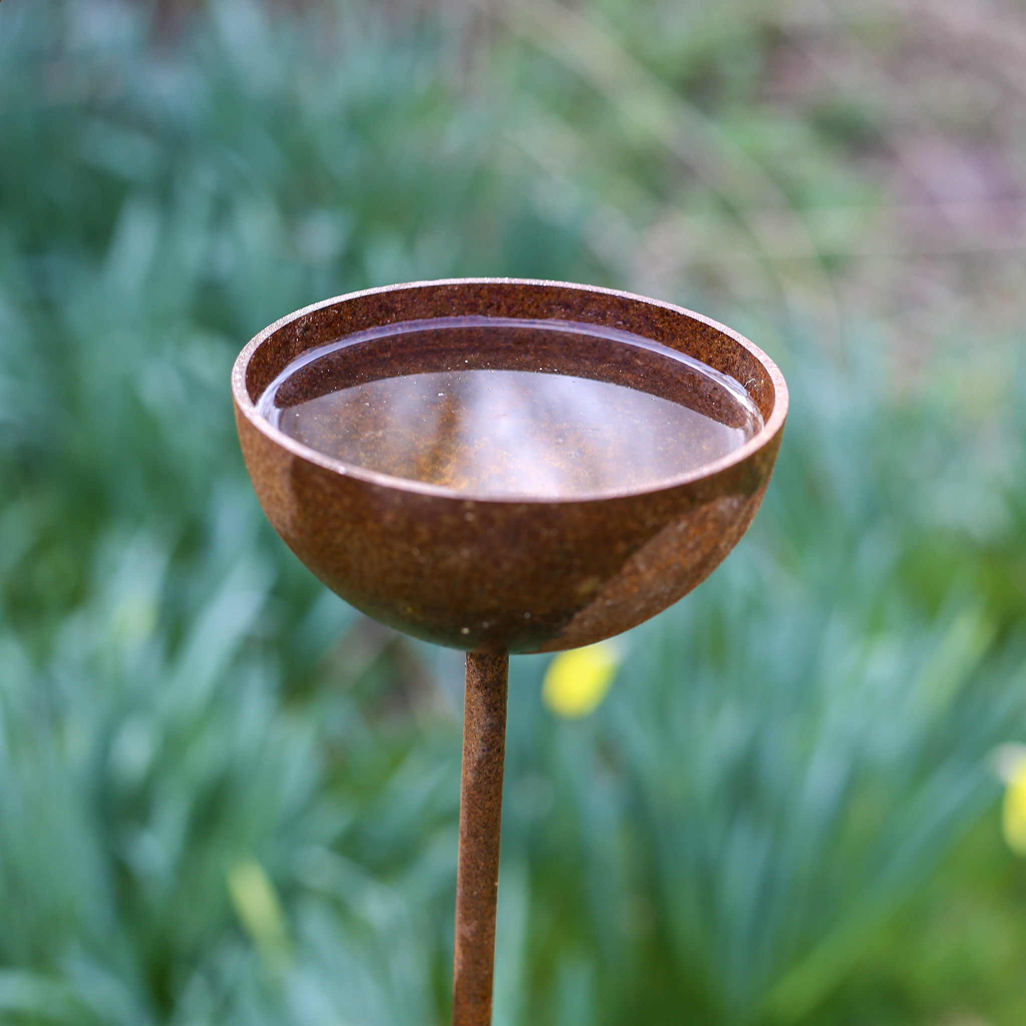 Rusty Rain Catchers - Image 2