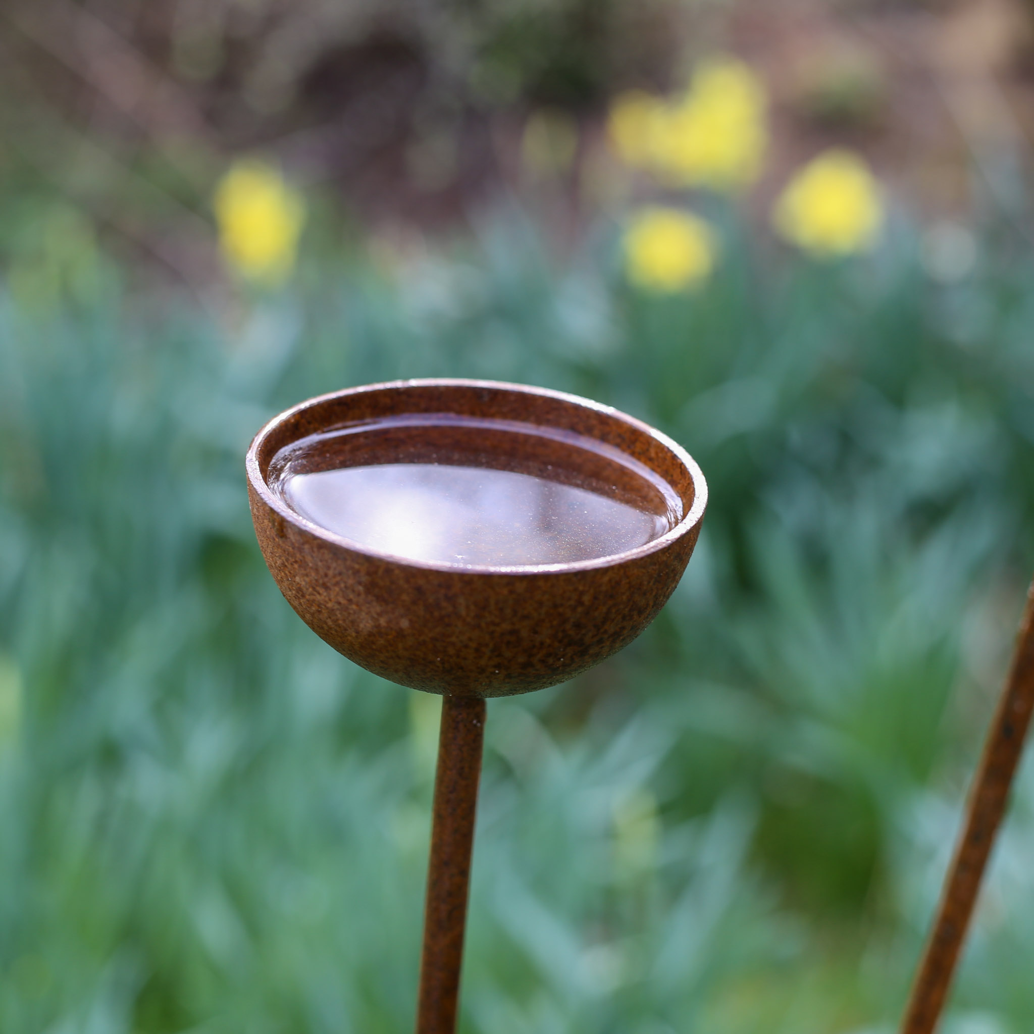 Rusty Rain Catchers - Image 4