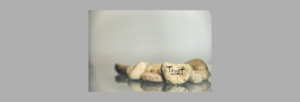 Newsletter titles (17)